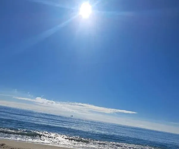 T2 Rez De Jardin Acces Direct Daire *